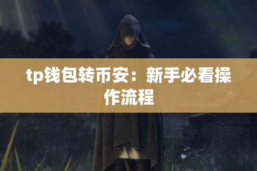 tp钱包转币安：新手必看操作流程