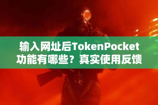 输入网址后TokenPocket功能有哪些？真实使用反馈