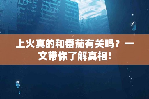 上火真的和番茄有关吗？一文带你了解真相！