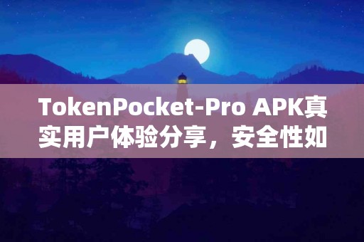 TokenPocket-Pro APK真实用户体验分享，安全性如何？