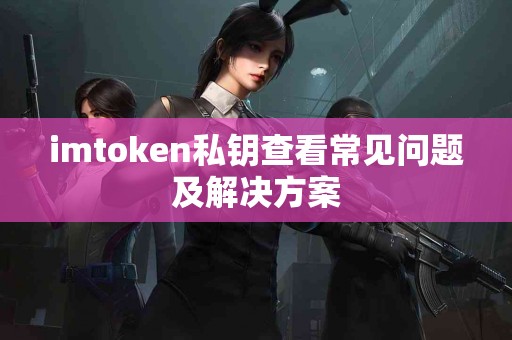 imtoken私钥查看常见问题及解决方案